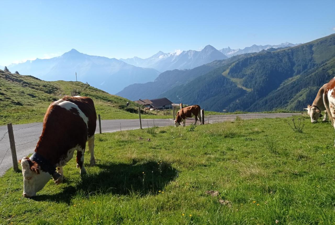Apart Anna Mayrhofen Exteriér fotografie