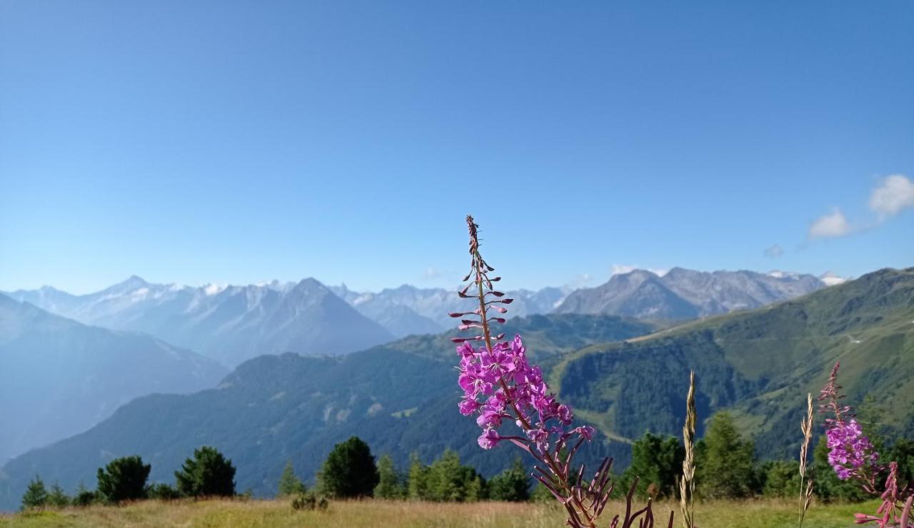 Apart Anna Mayrhofen Exteriér fotografie